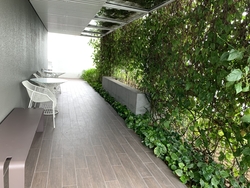 8 Saint Thomas (D9), Condominium #208907981